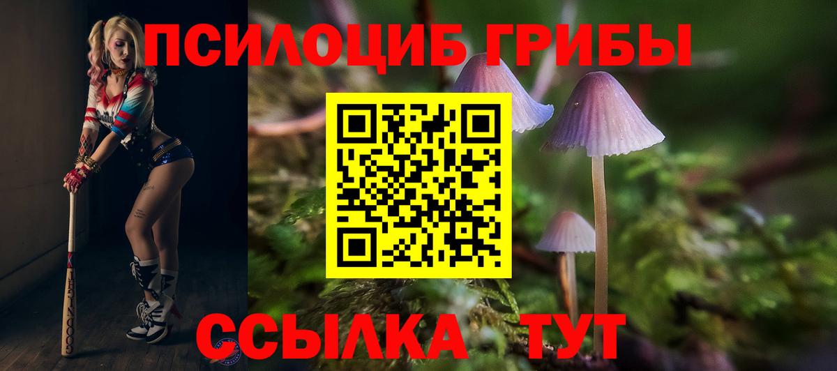 купить наркоту  Галлюциногенные грибы GOLDEN TEACHER  Псилоцибиновые грибы прущие грибы  Вход с VPN  Углич 